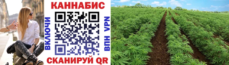 Купить наркотики Полесск МАРИХУАНА Амфетамин Меф мяу мяу A-PVP
