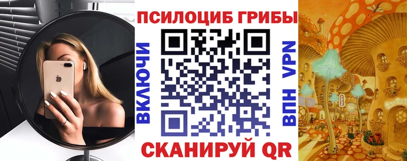 ссылка на мегу ссылки  цена наркотик  Полесск  Псилоцибиновые грибы GOLDEN TEACHER 